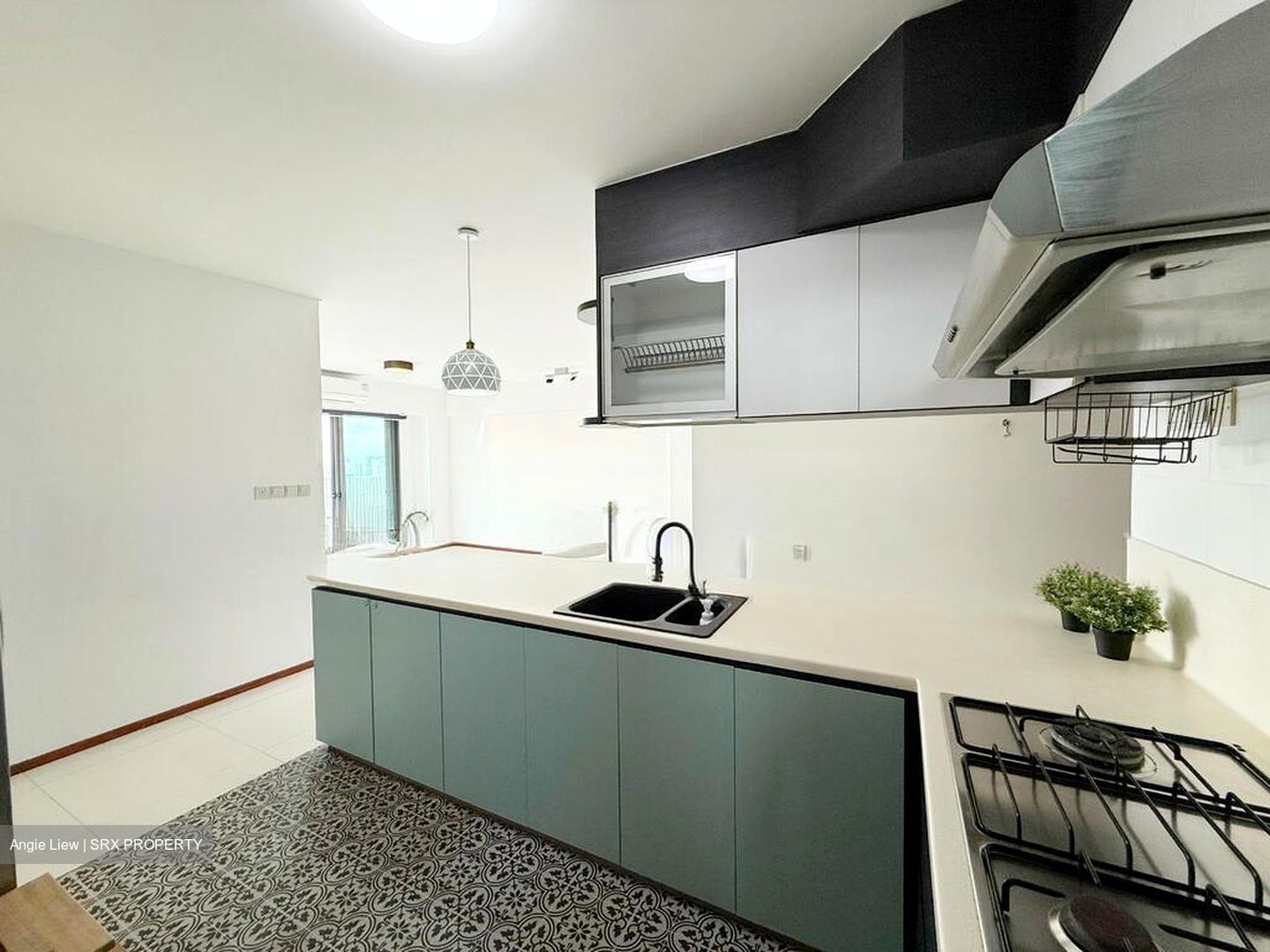 Blk 1E The Pinnacle@Duxton (Bukit Merah), HDB 4 Rooms #507970951